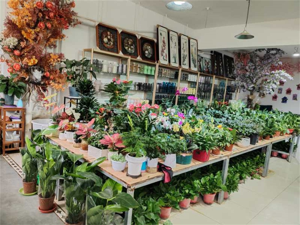 博思花藝婚慶教育，婚慶培訓(xùn)，花藝培訓(xùn)，插花培訓(xùn)，花藝師培訓(xùn)，主持人培訓(xùn)，商務(wù)主持人培訓(xùn)，花店運(yùn)營(yíng)培訓(xùn)，花店全系統(tǒng)營(yíng)銷，小白開花店，小白學(xué)主持，金璽棠婚慶酒店，金璽棠總部，鄭州金麻雀教育科技有限公司